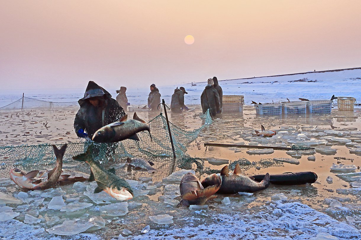 ���� (17).jpg