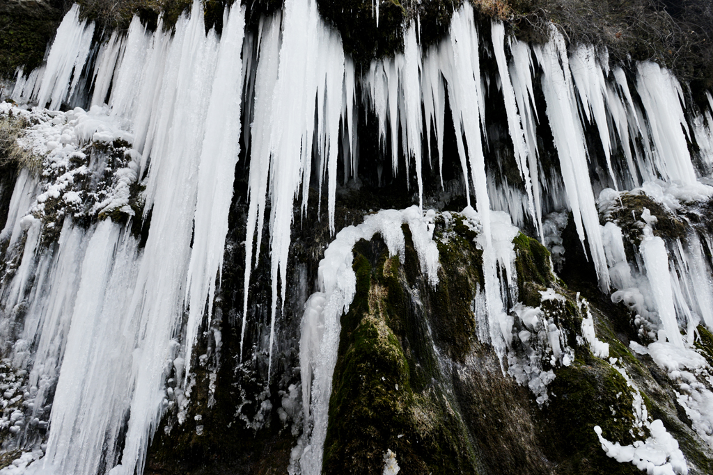 Picture 26901784.jpg