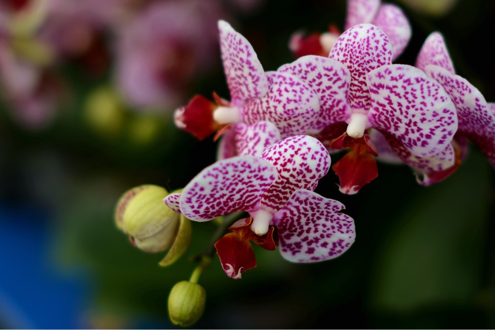 ��Ȫ���� 037_����.jpg