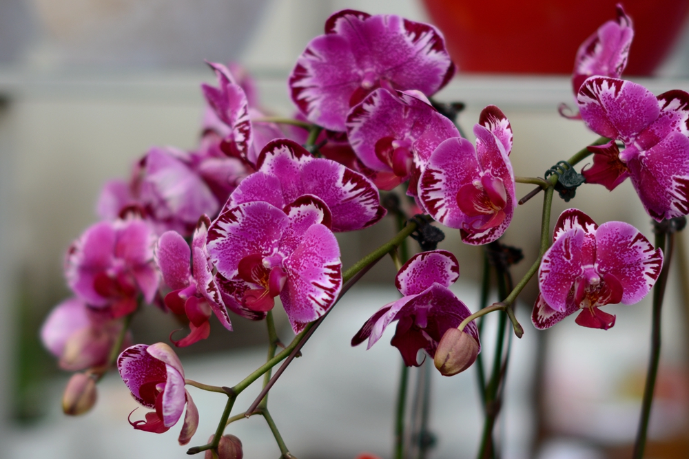 ��Ȫ���� 048_����.jpg