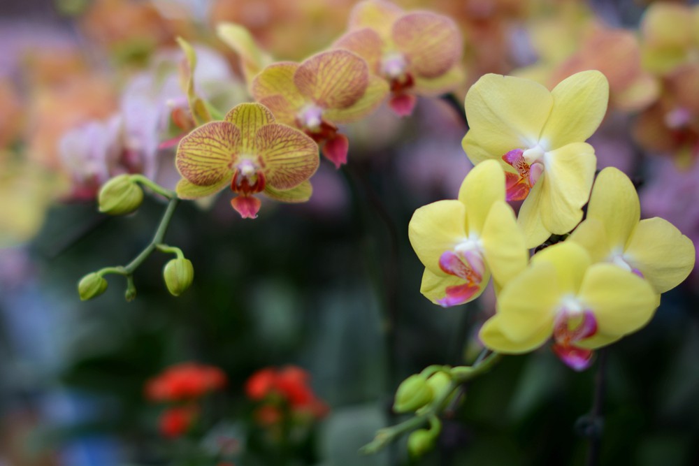 ��Ȫ���� 055_����.jpg