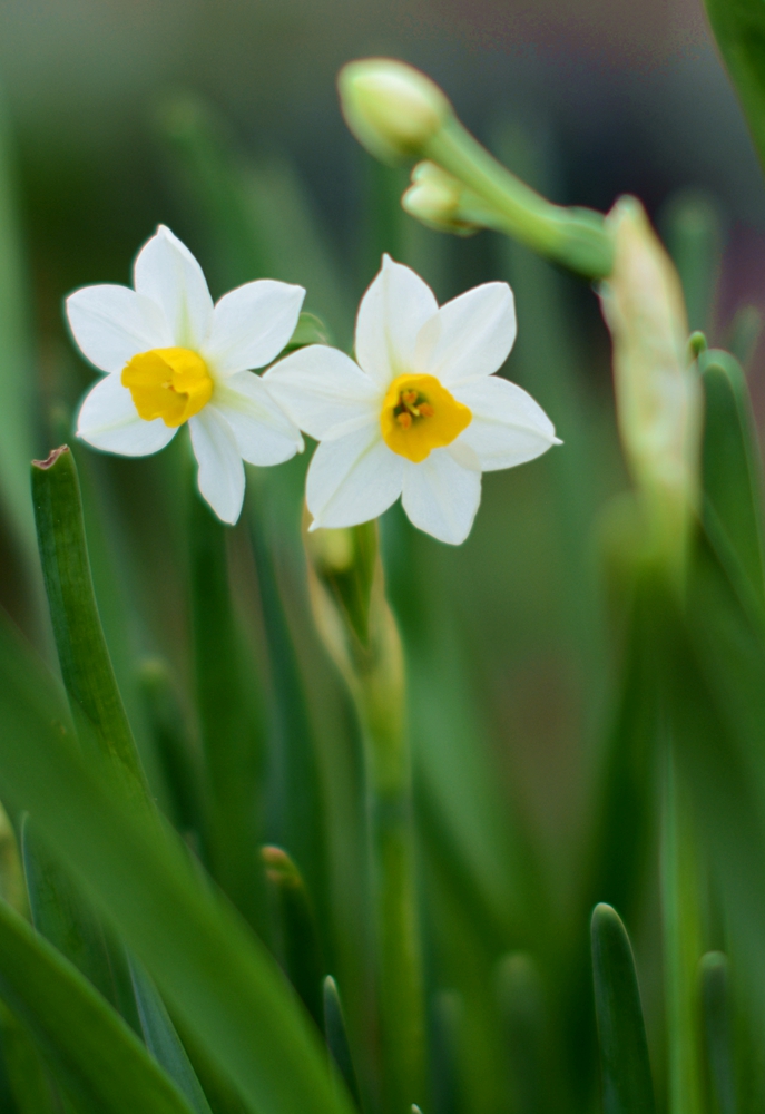 ��Ȫ���� 056_����.jpg