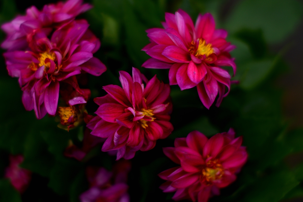 ��Ȫ���� 077_����.jpg