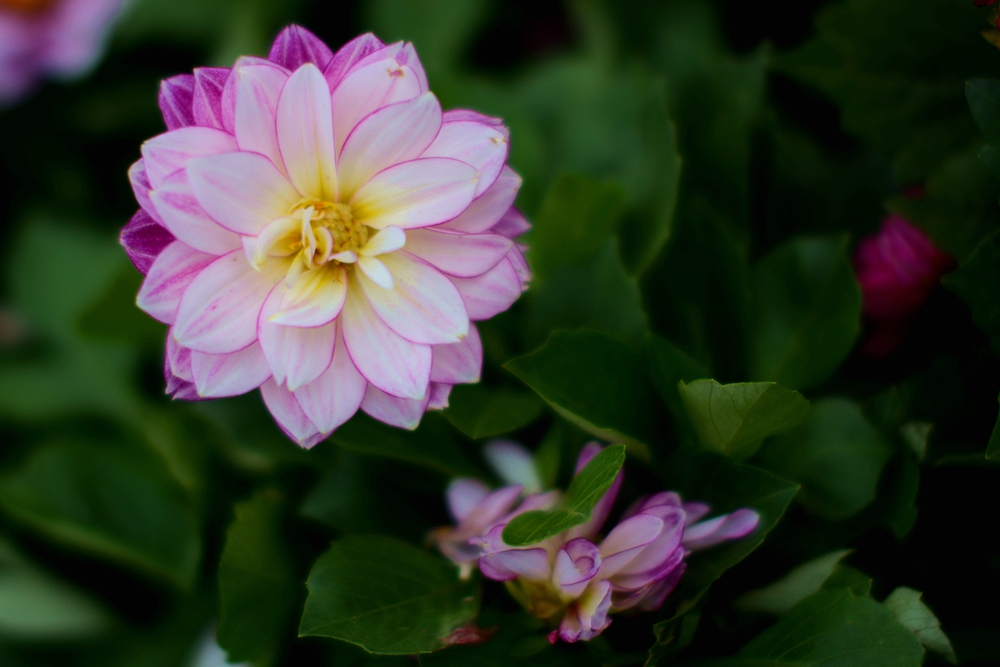 ��Ȫ���� 078_����.jpg