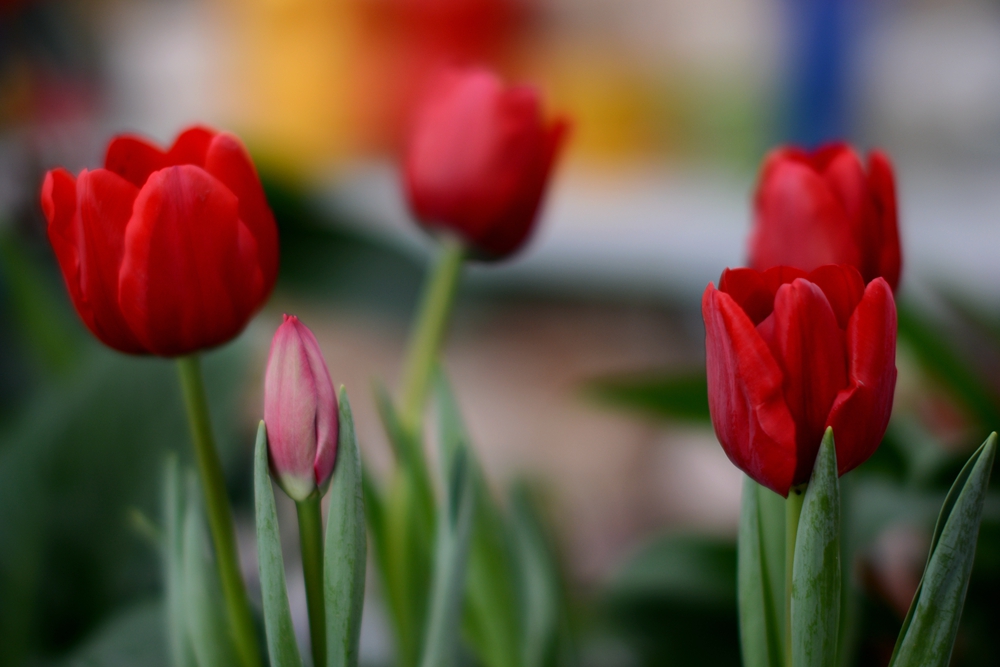 ��Ȫ���� 080_����.jpg