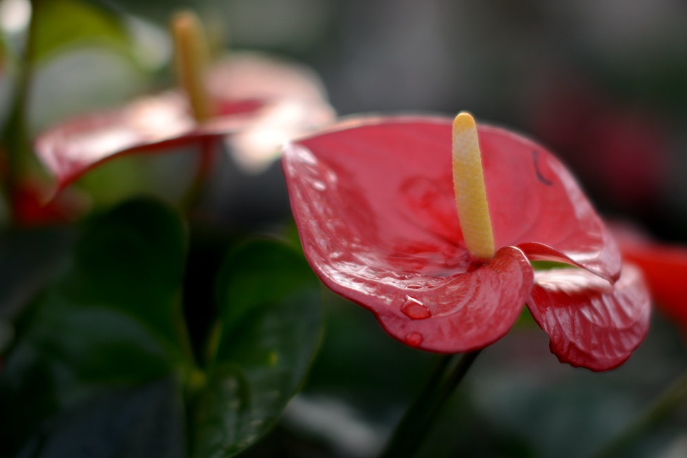 ��Ȫ���� 088_����.jpg