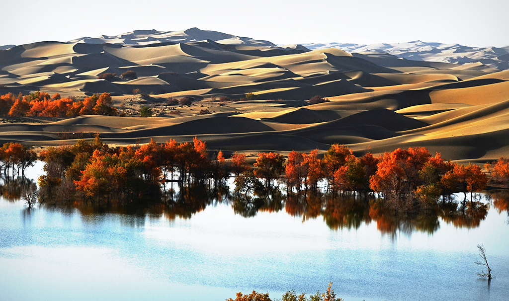 2����ɳ�� �����㡢13899523109.JPG