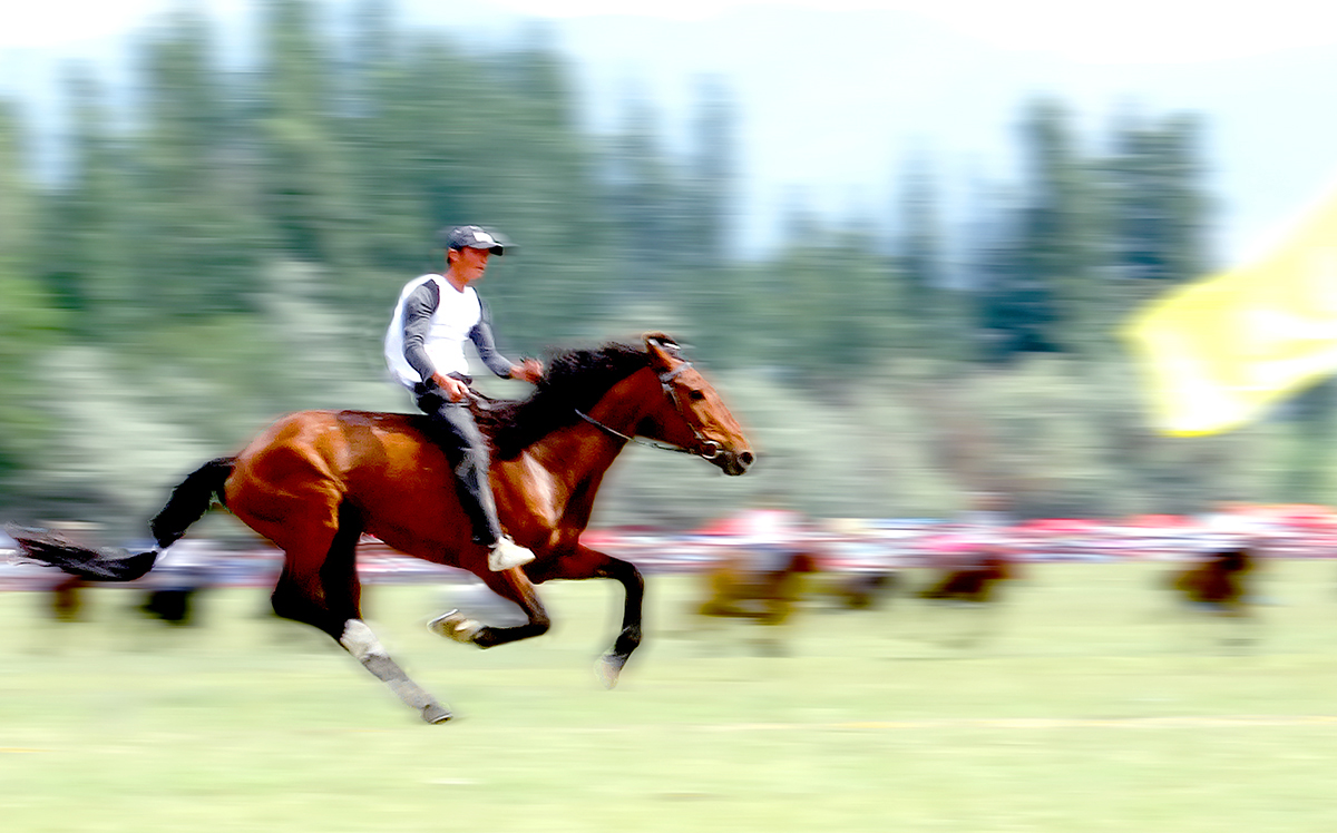 «�ݹ�����������Ӱ (55)����.jpg