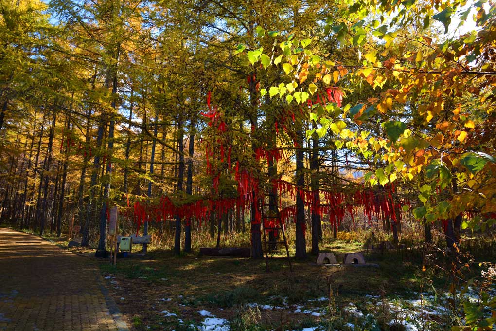 ����ɮ�μ� 639_����1.jpg