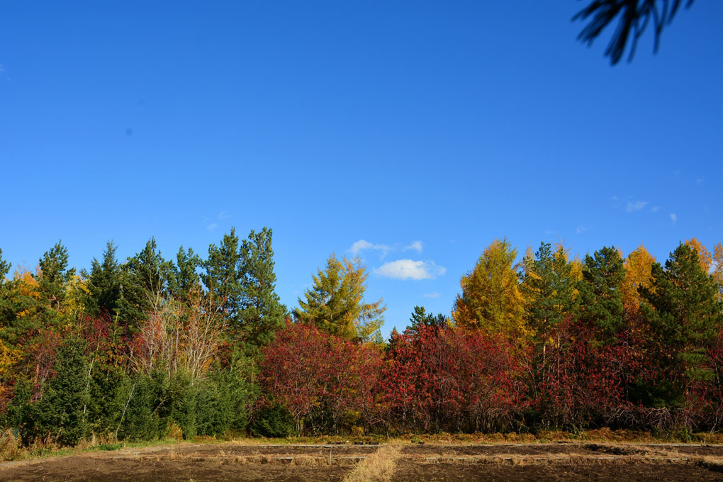 ����ɮ�μ� 664_����1.jpg