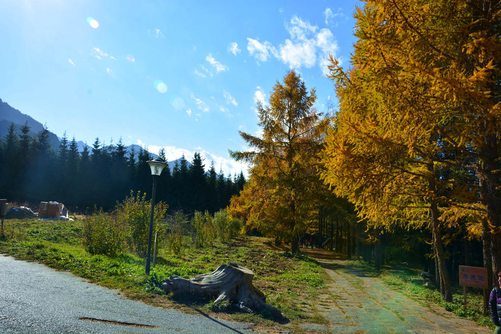 ����ɮ�μ� 672_����1.jpg