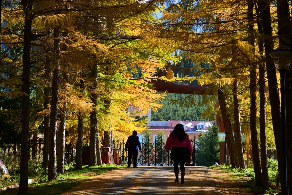 ����ɮ�μ� 692_����1.jpg