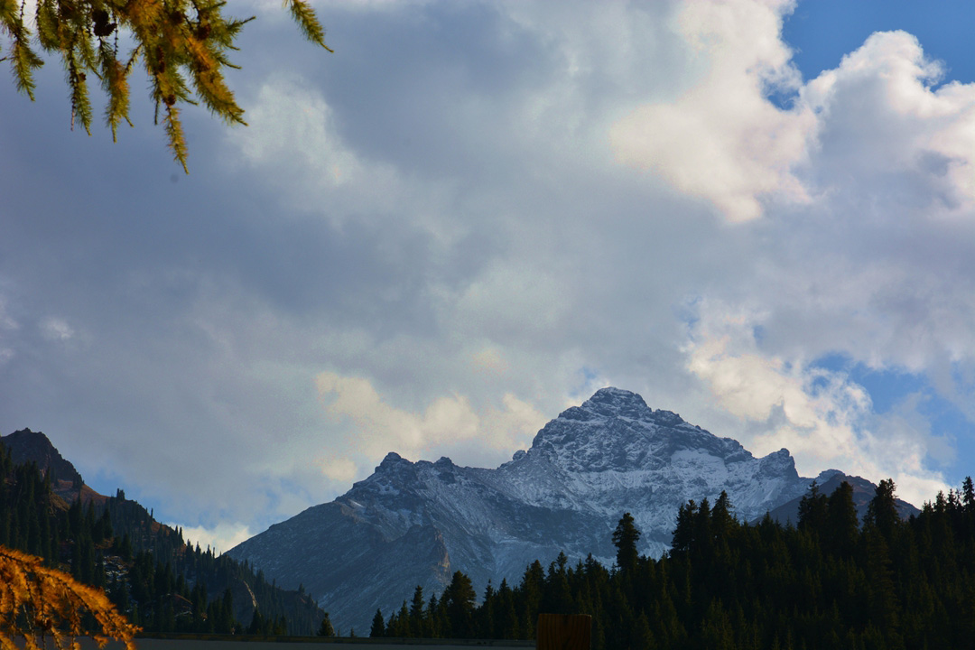 ����ɮ�μ� 700_����1.jpg