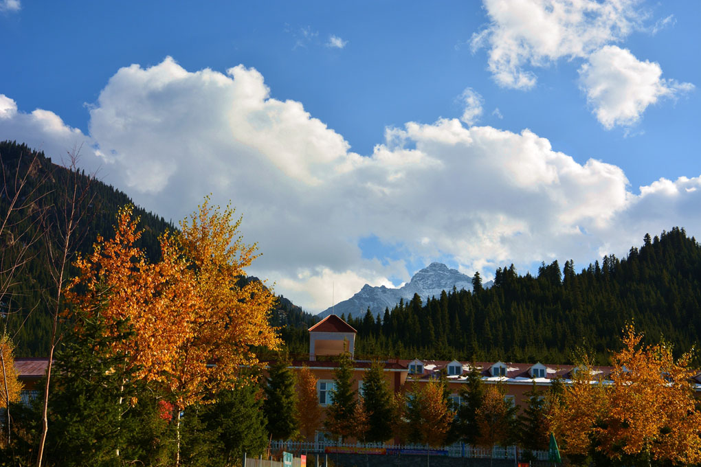 ����ɮ�μ� 709_����1.jpg