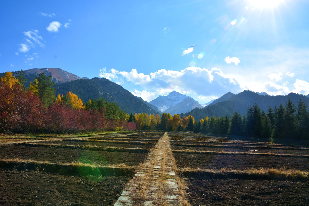 ����ɮ�μ� 521_����1.jpg