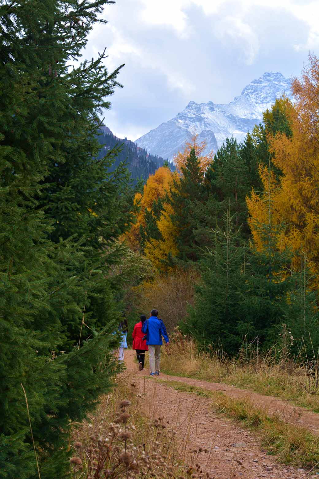 ����ɮ�μ� 588_����1.jpg