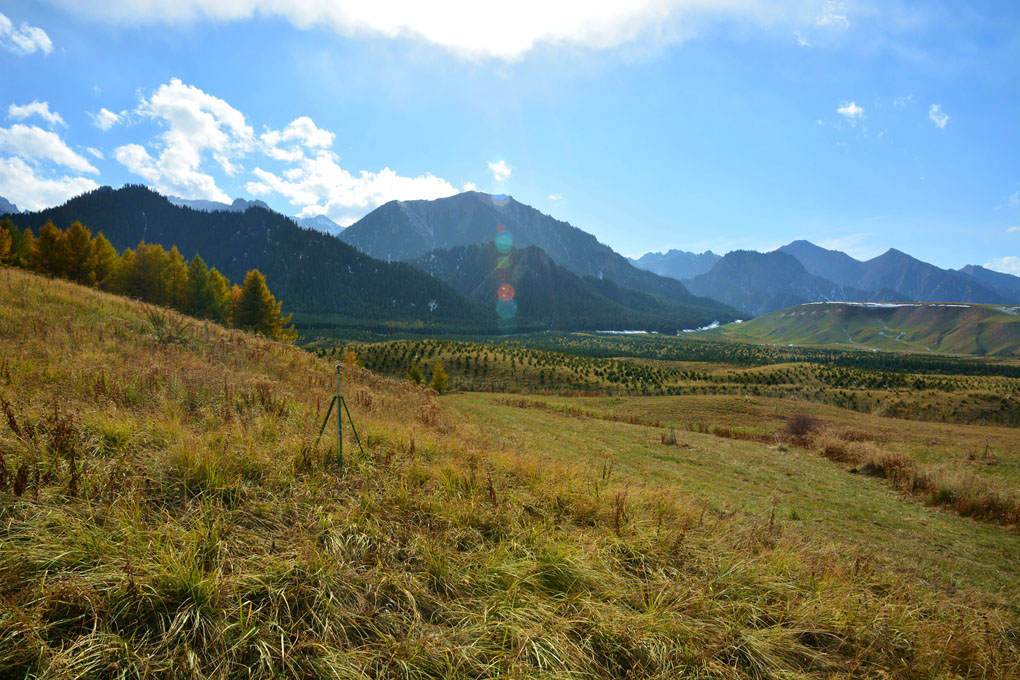 ����ɮ�μ� 612_����1.jpg