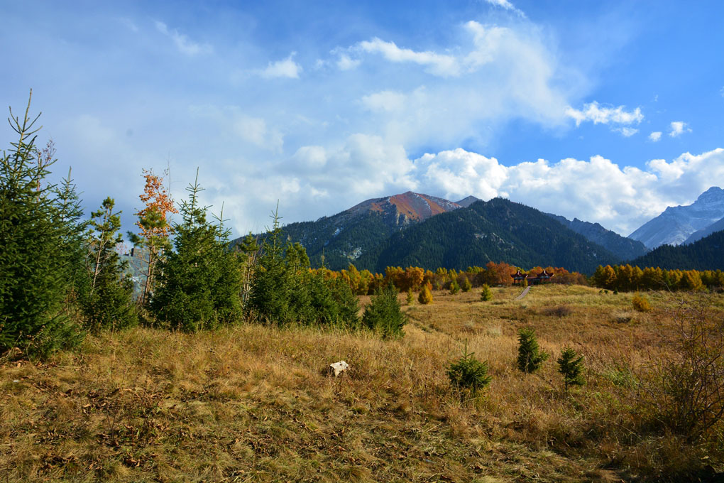 ����ɮ�μ� 628_����1.jpg