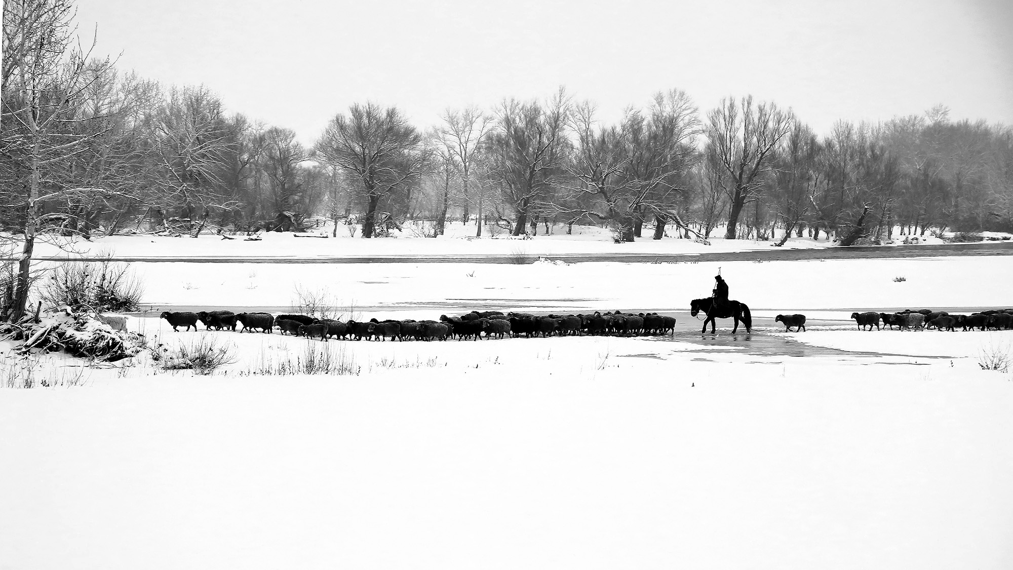 ˮī��� (2).jpg