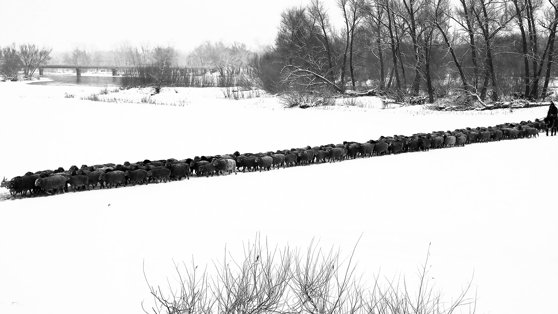 ˮī��� (4).jpg