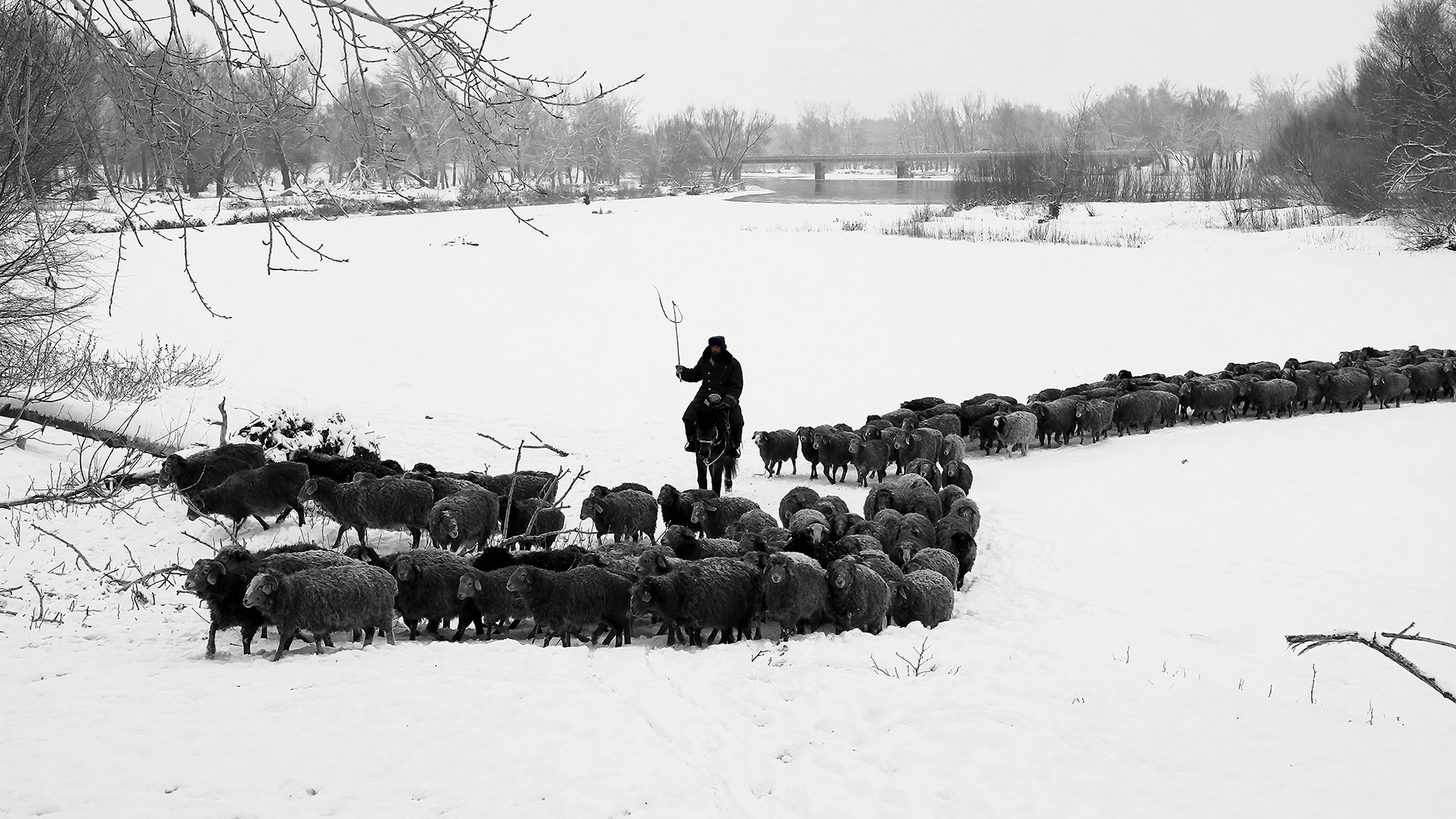 ˮī��� (5).jpg