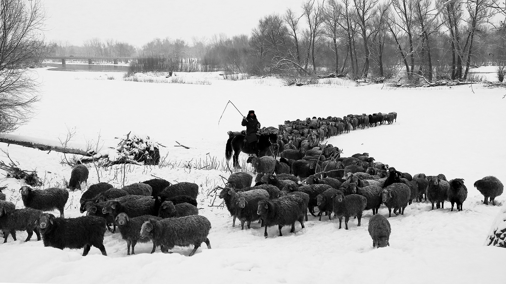 ˮī��� (6).jpg