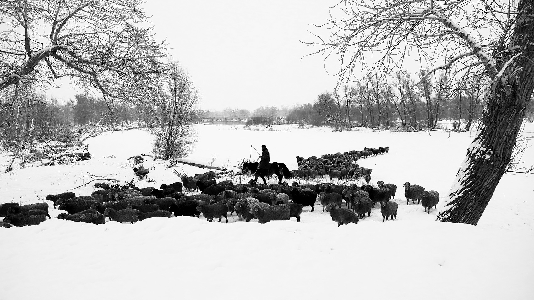 ˮī��� (7).jpg