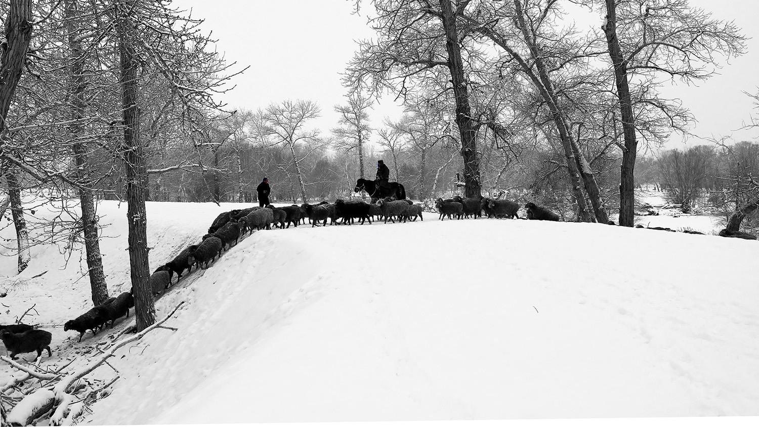 ˮī��� (8).jpg