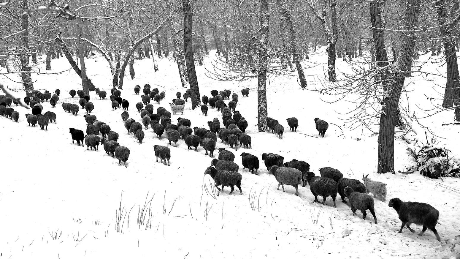 ˮī��� (9).jpg