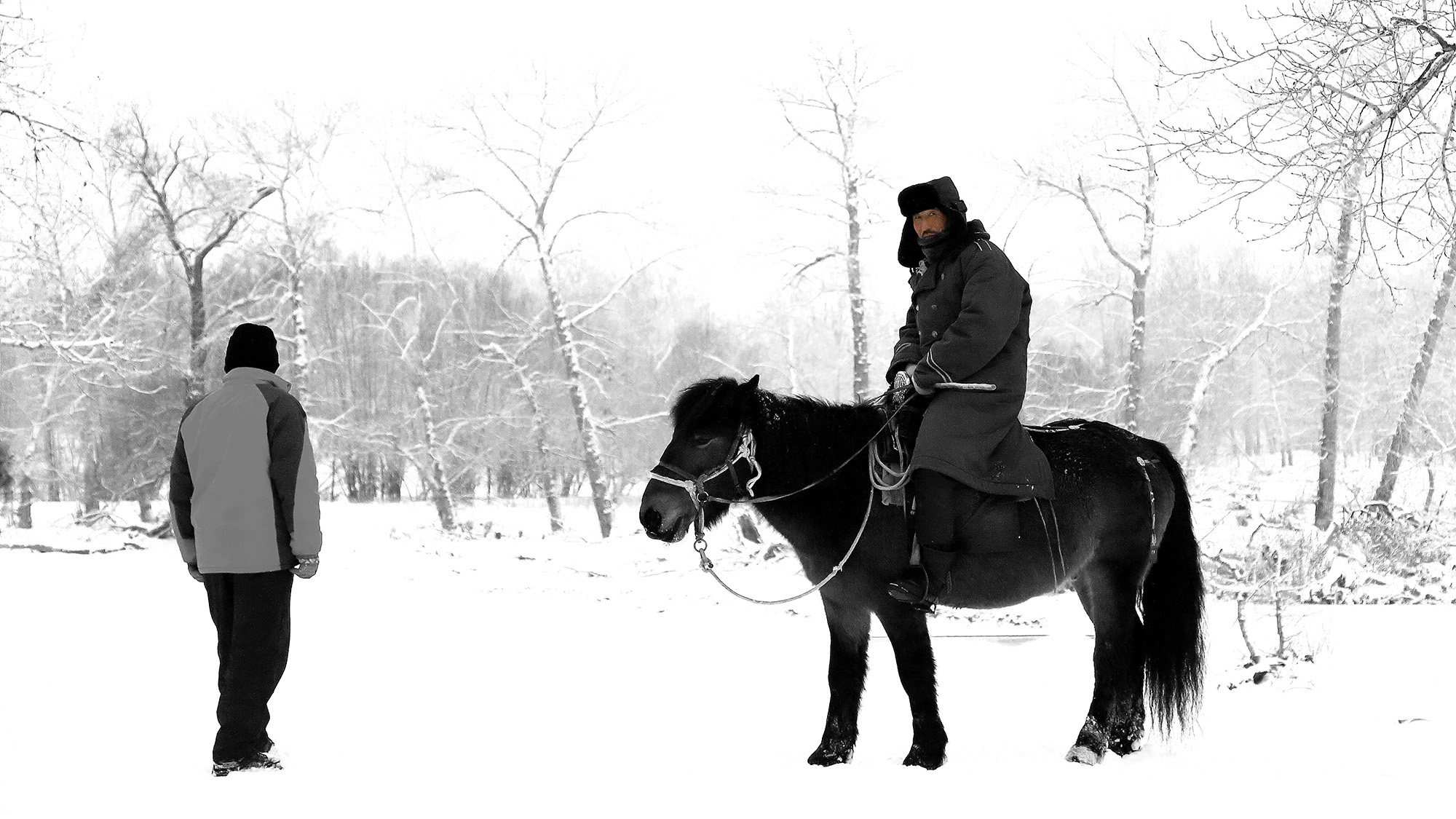 ˮī��� (10).jpg