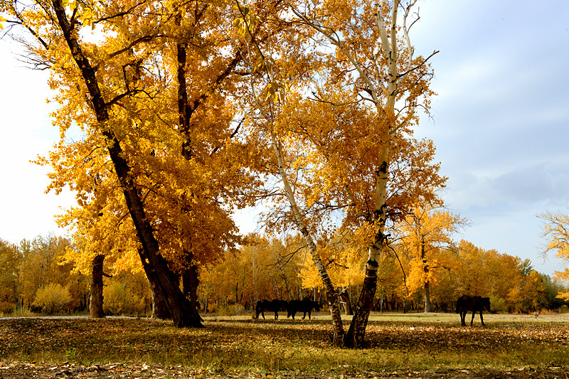 ������֮��  ��������Ӱ_����.jpg