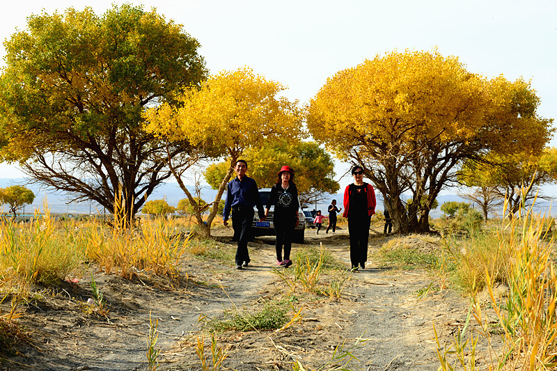 ���� ��������Ӱ_����.jpg