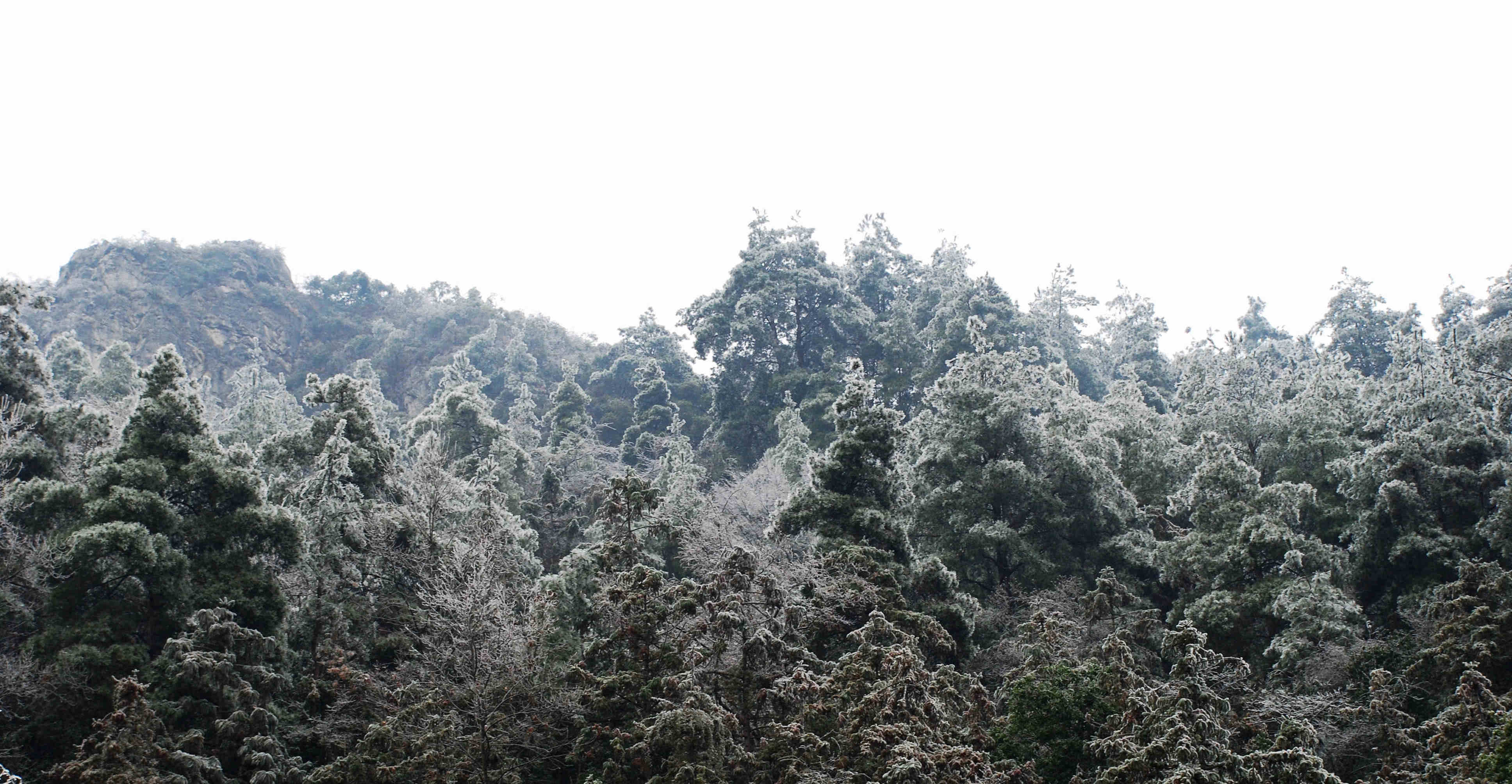 ��ѩѹ����