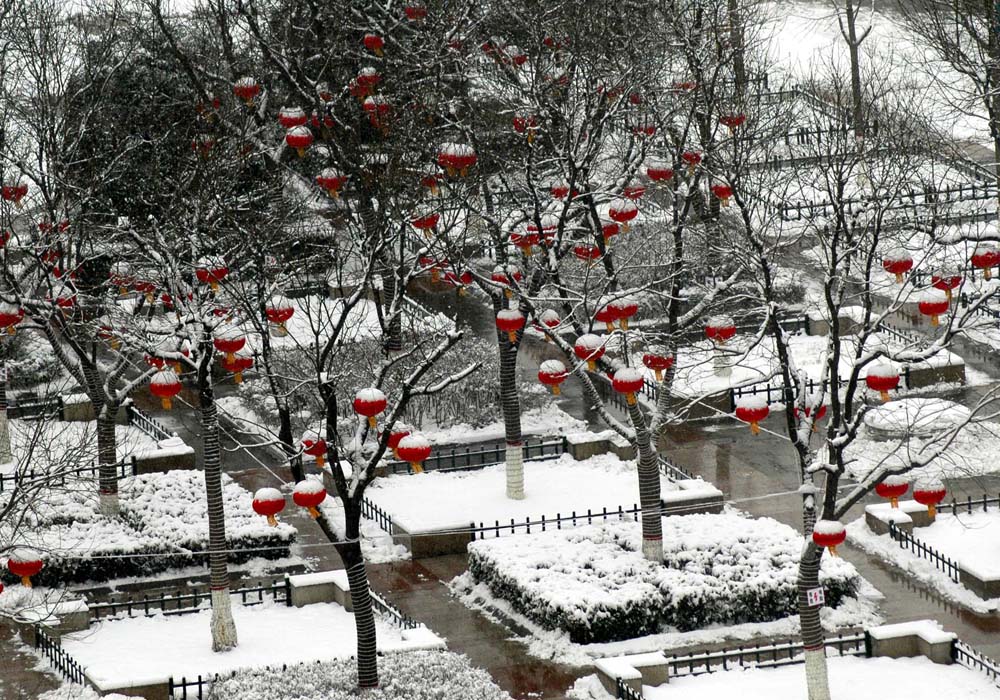 ��ѩ�׷���