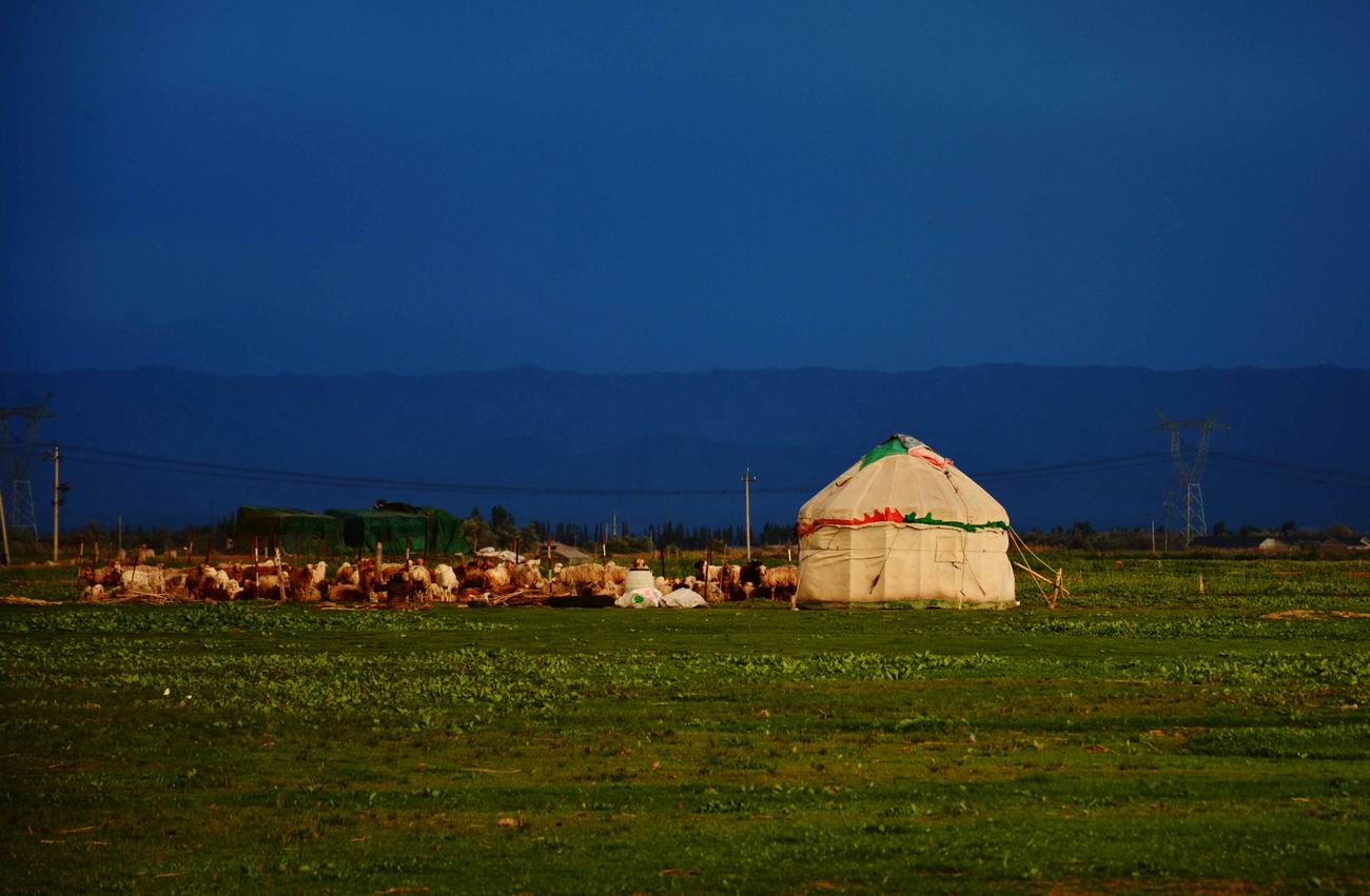 ������С DSC_6077.JPG