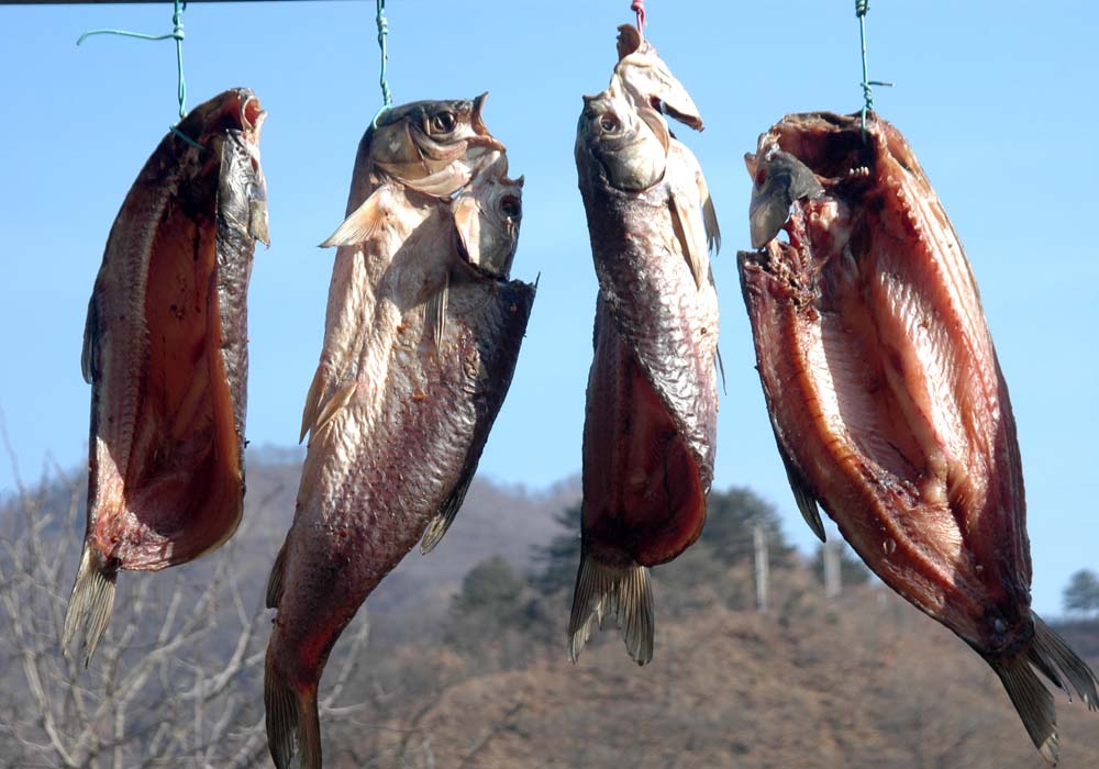 ɽ������ҵ�����