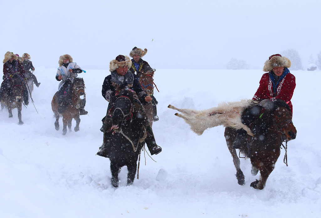 ���� (4).jpg