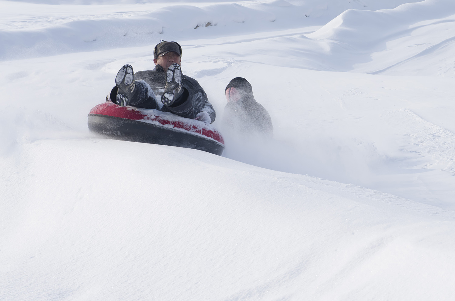 ��ѩ��������Ŀ��