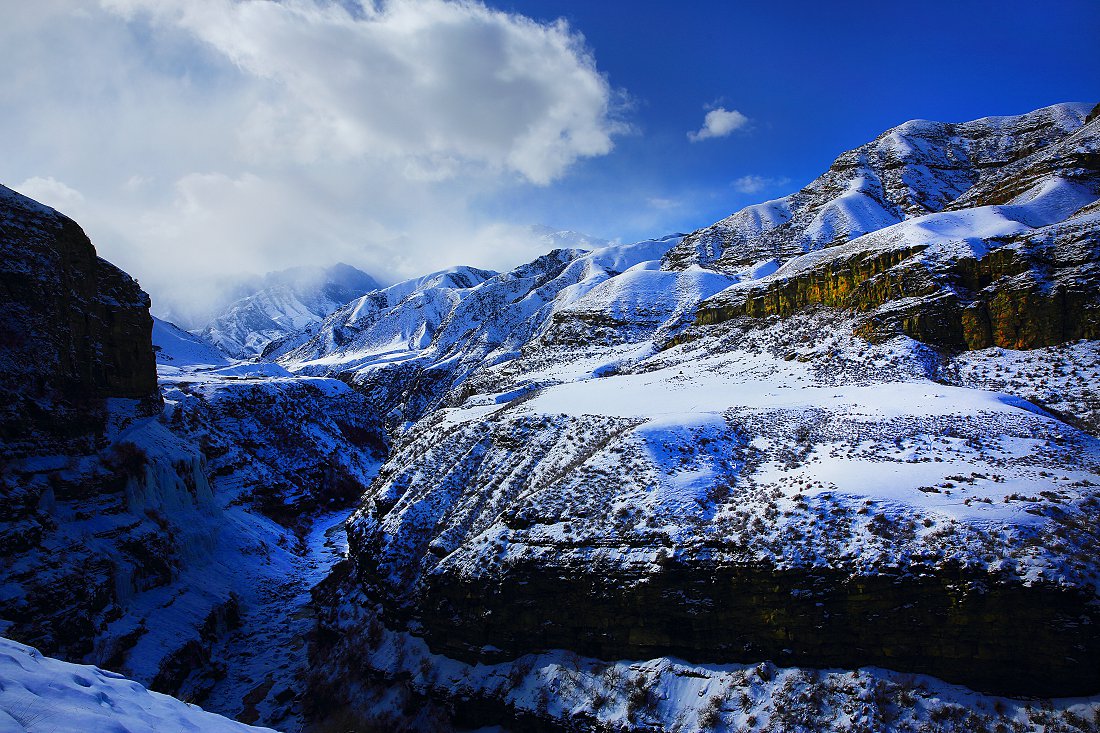 D18565 - ����.jpg