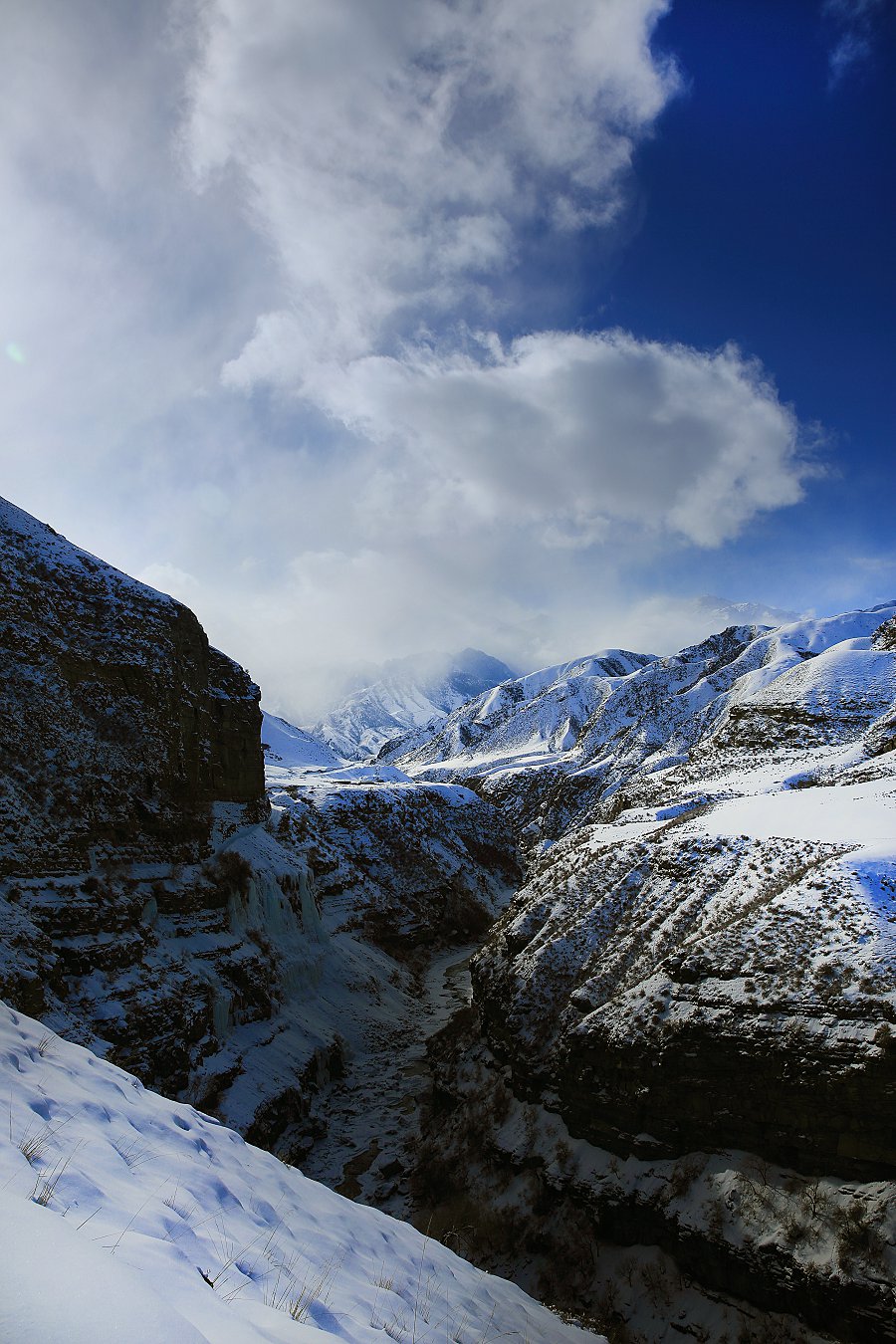 D18568 - ����.jpg