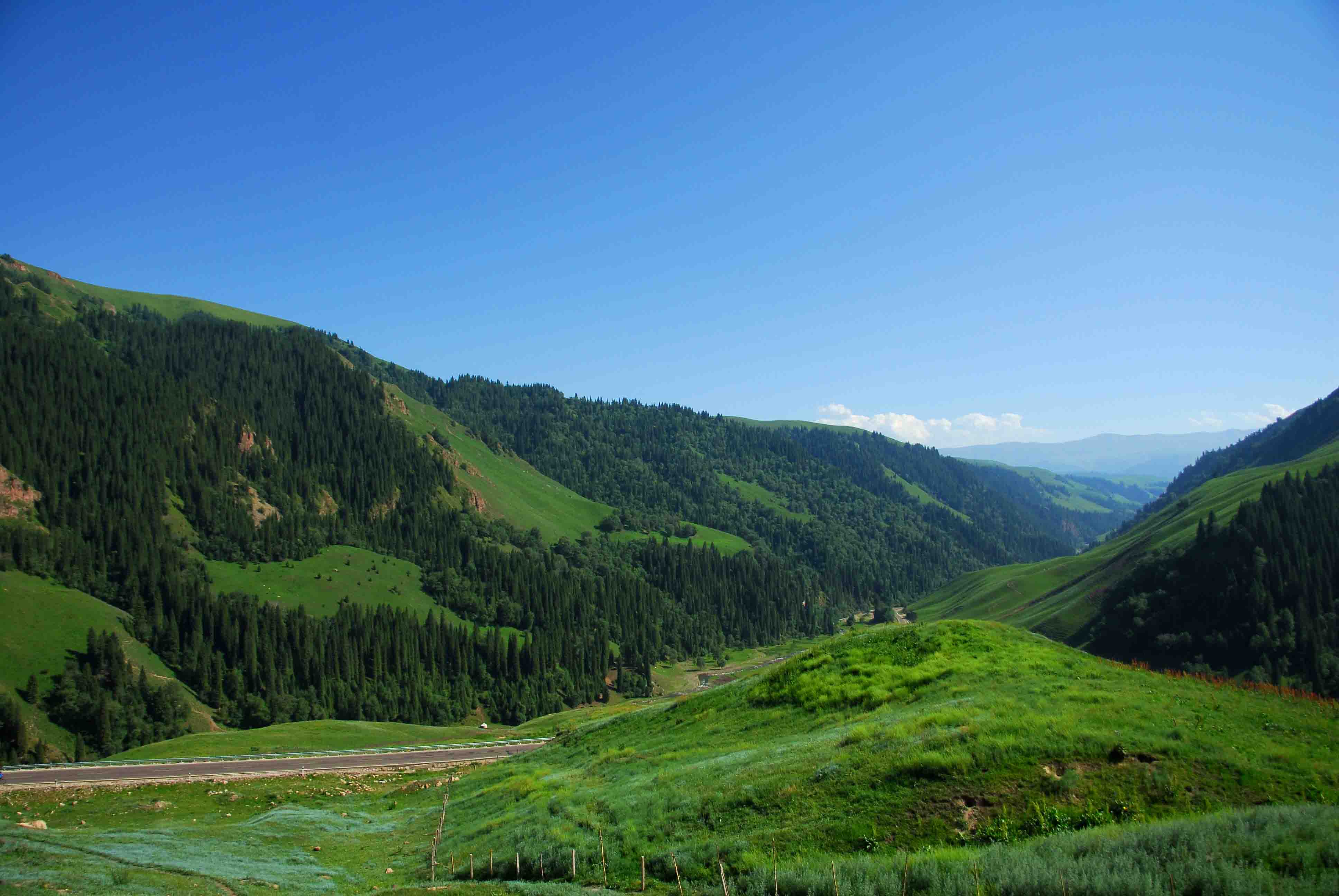 DSC_0261_���� ����.jpg