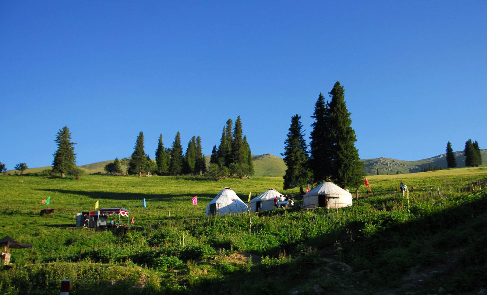 DSC_0319_���� ����.jpg