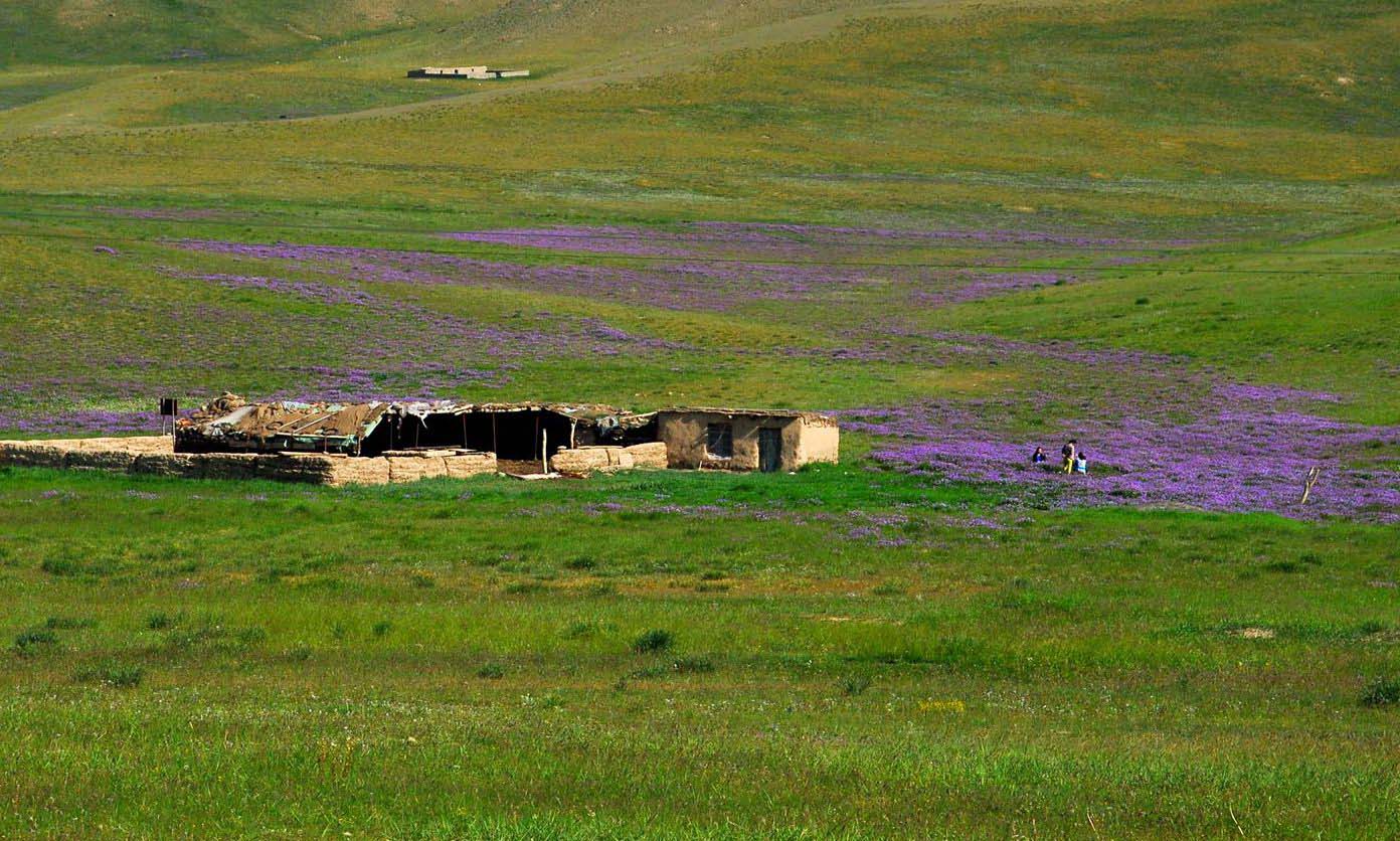 DSC_0392_����_���� ����.jpg