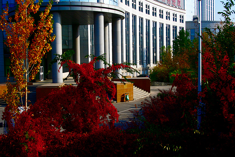 ��Ƭ 038����.jpg