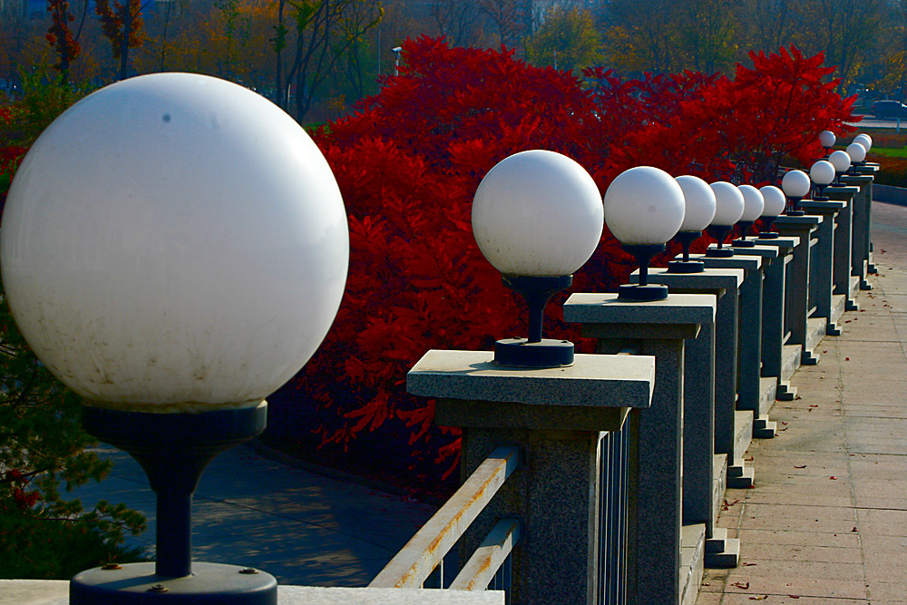 ��Ƭ 047����.jpg