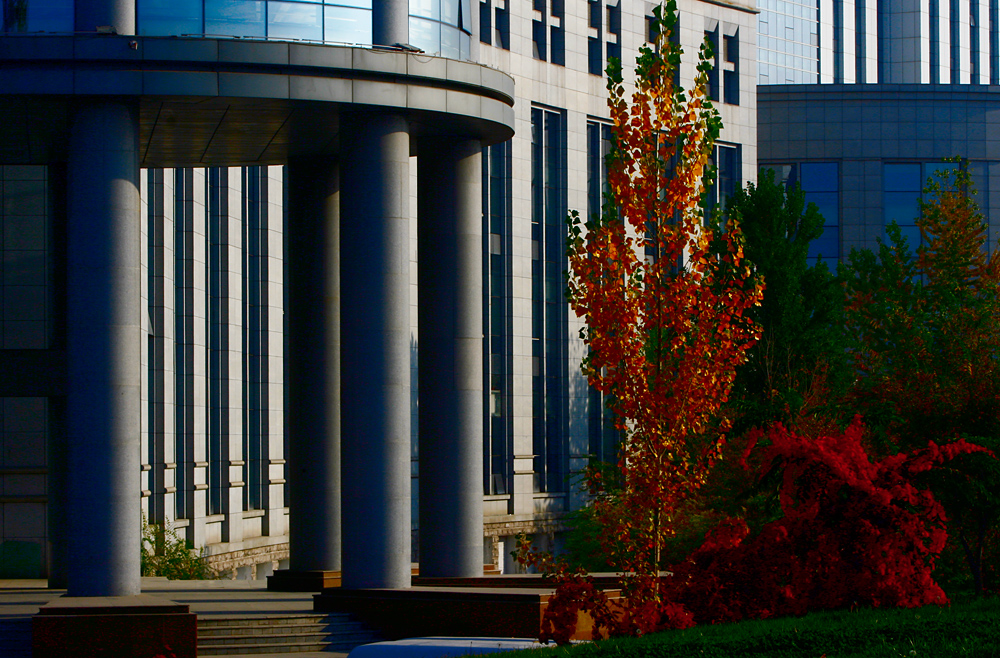 ��Ƭ 035����.jpg