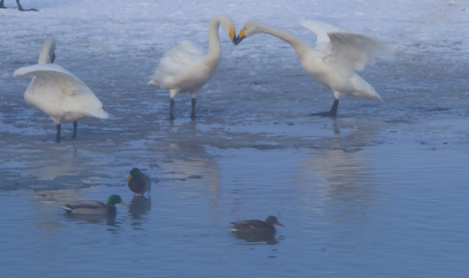 �����һ��