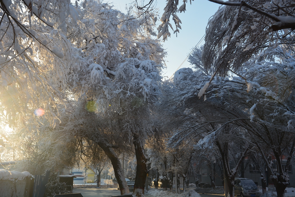 ��ɽ��Ͽ�� 274_����.jpg