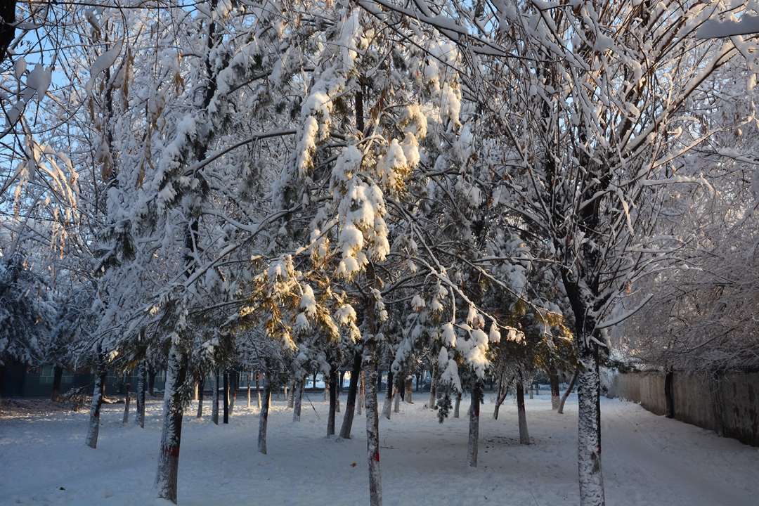 ��ɽ��Ͽ�� 278_����.jpg