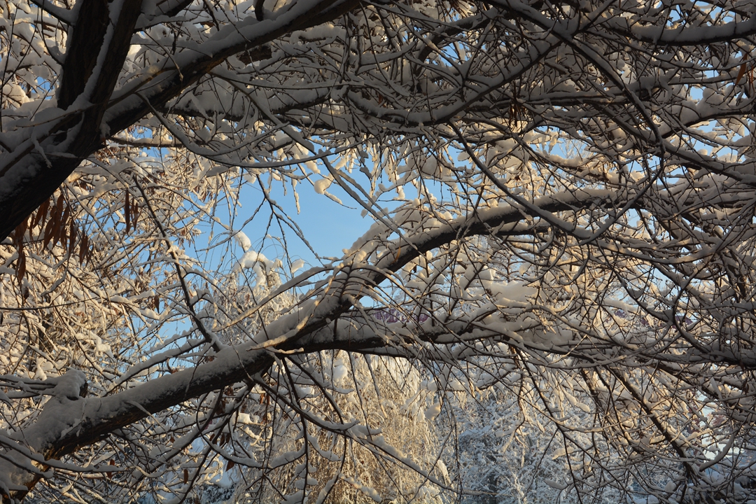 ��ɽ��Ͽ�� 284_����.jpg